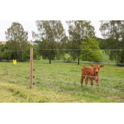 PlatinumLine AKO afrasteringsdraad Wit / blauw PlatinumLine AKO afrasteringsdraad Wit / blauw