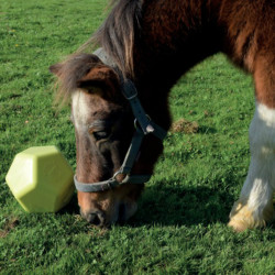 Speelgoed Drop Feeder La Gee Speelgoed Drop Feeder La Gee
