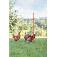 AKO gevogeltenet Oranje AKO gevogeltenet Oranje