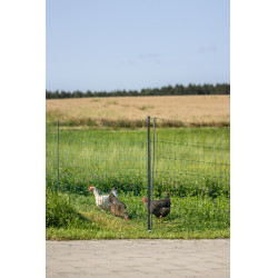 Premium gevogelte-net AKO Groen