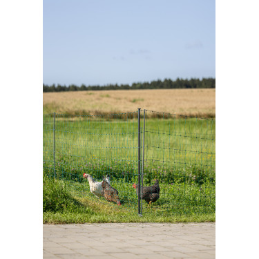 Premium gevogelte-net AKO Groen