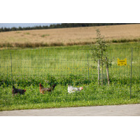 Premium gevogelte-net AKO Groen Premium gevogelte-net AKO Groen