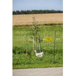 Premium gevogelte-net AKO Groen