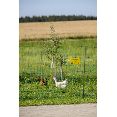 Premium gevogelte-net AKO Groen