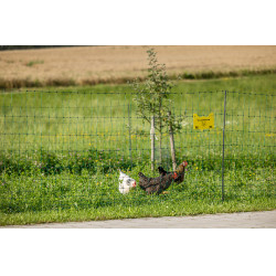 Premium gevogelte-net AKO Groen