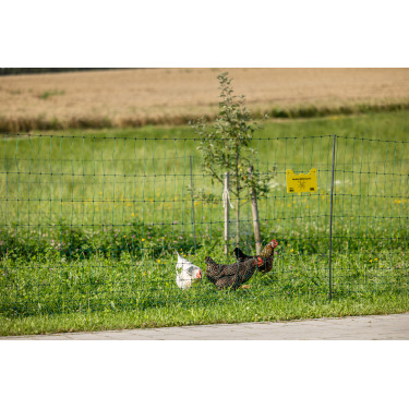 Premium gevogelte-net AKO Groen