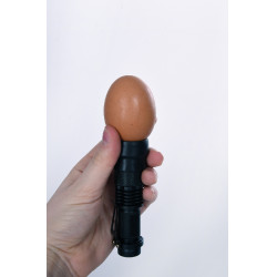 LED-eiertester Kerbl Hobbyfarming Zwart LED-eiertester Kerbl Hobbyfarming Zwart