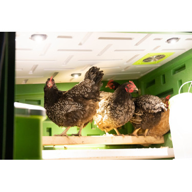 Mobiele kippenren Kerbl Hobbyfarming Groen / wit