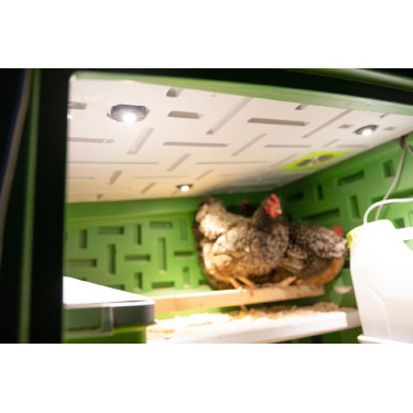 Mobiele kippenren Kerbl Hobbyfarming Groen / wit