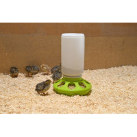 Voederbak voor kwartels Kerbl Hobbyfarming Lichtgroen Voederbak voor kwartels Kerbl Hobbyfarming Lichtgroen