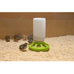 Voederbak voor kwartels Kerbl Hobbyfarming Lichtgroen