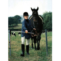 Elektrisch poortje Electro Gate AKO Zwart