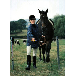 Elektrisch poortje Electro Gate AKO Zwart