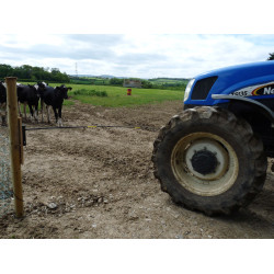 Elektrisch poortje Electro Gate AKO Zwart