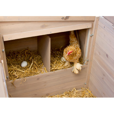 Kippenhok Emma Kerbl Hobbyfarming Natuurlijk Bruin Kippenhok Emma Kerbl Hobbyfarming Natuurlijk Bruin