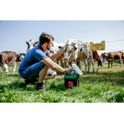 Power Shock B 290 AKO Groen