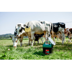 Power Shock B 290 AKO Groen