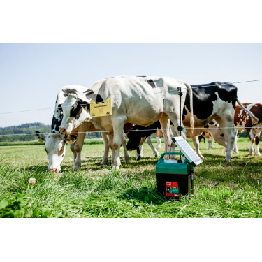 Power Shock B 290 AKO Groen