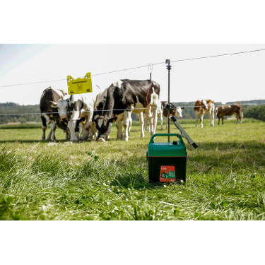 Power Shock B 290 AKO Groen