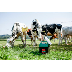 Power Shock B 290 AKO Groen