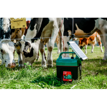 Power Shock B 290 AKO Groen