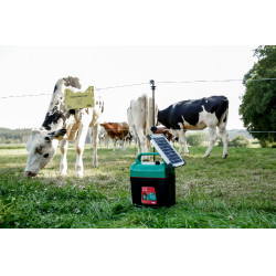 Power Shock B 290 AKO Groen