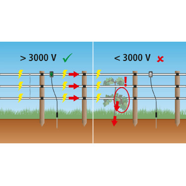 Pulse Flash AKO Zwart Pulse Flash AKO Zwart
