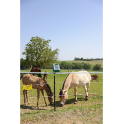 PlatinumLine AKO afrasteringslint Wit / blauw PlatinumLine AKO afrasteringslint Wit / blauw