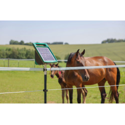 PlatinumLine AKO afrasteringslint Wit / blauw PlatinumLine AKO afrasteringslint Wit / blauw