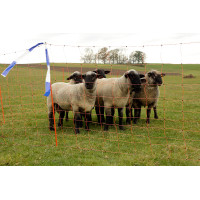 Beschermingsband voor dieren Kerbl pet Blauw / wit