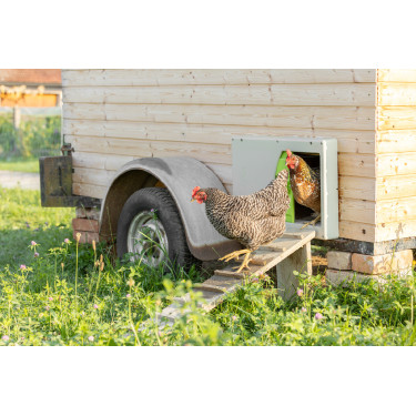 SmartCoop Kerbl Hobbyfarming kippenhokdeur Grijs SmartCoop Kerbl Hobbyfarming kippenhokdeur Grijs