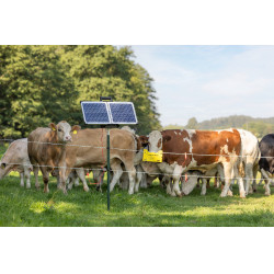 Sun Power S 2400 smart AKO Groen