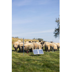 Sun Power S 2400 smart AKO Groen