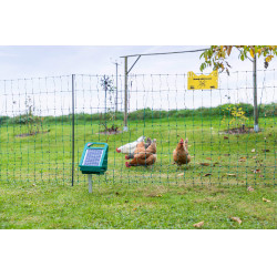 Sun Power S 250 AKO Groen Sun Power S 250 AKO Groen