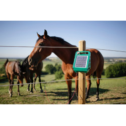 Sun Power S 250 AKO Groen Sun Power S 250 AKO Groen