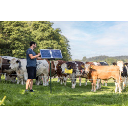 Sun Power S 3000 AKO Groen Sun Power S 3000 AKO Groen