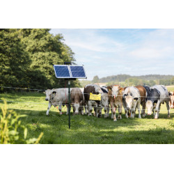 Sun Power S 3000 AKO Groen Sun Power S 3000 AKO Groen