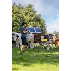 Sun Power S 3000 AKO Groen Sun Power S 3000 AKO Groen