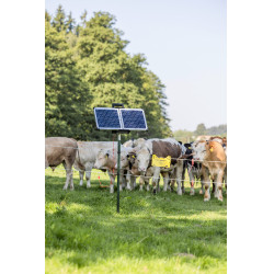 Sun Power S 3000 AKO Groen Sun Power S 3000 AKO Groen