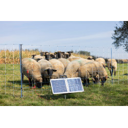 Sun Power S 3000 AKO Groen Sun Power S 3000 AKO Groen