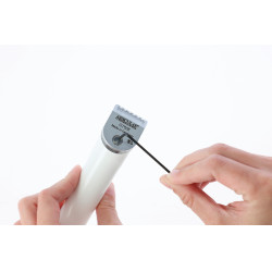 Vervangende scheerkop voor Exacta/Isis Aesculap Grijs