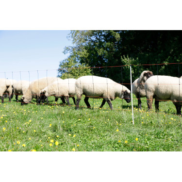 TitanLight Net Kerbl Hobbyfarming Oranje / zwart TitanLight Net Kerbl Hobbyfarming Oranje / zwart