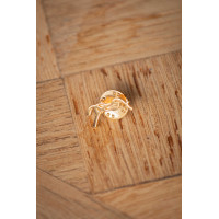 Speldjes Pénélope Abbie Goudkleurig