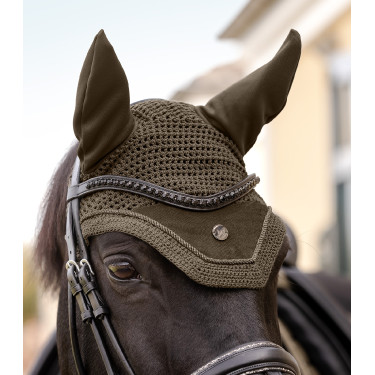 Vliegenkap Waldhausen St. Gallen Bruin groen