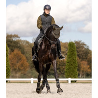 Vliegenkap Waldhausen St. Gallen Bruin groen