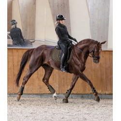 Dressuurbeschermers Waldhausen Comfort Fit Bruin groen