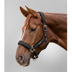 Halter Waldhausen Soft Touch Zwart