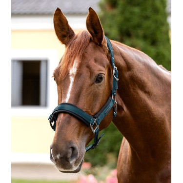 Halter Waldhausen Soft Touch Petrolblauw