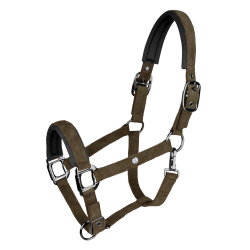 Halter Waldhausen St. Gallen Bruin groen