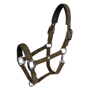 Halter Waldhausen St. Gallen Bruin groen